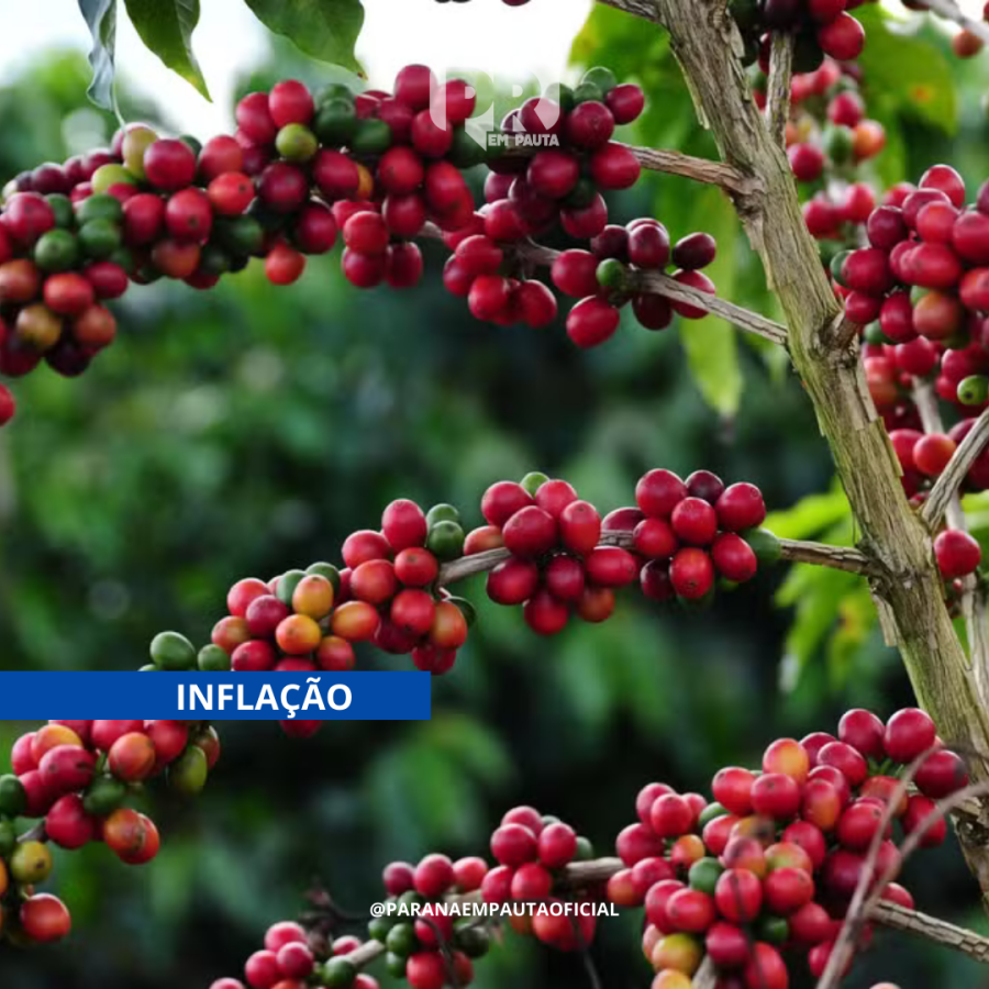Tarifaço pode beneficiar café brasileiro nos EUA, mas inflação preocupa