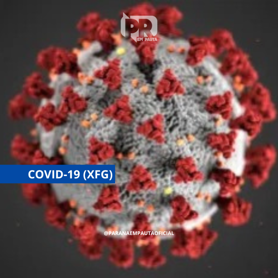 Nova variante da Covid-19 (XFG) é identificada no Rio de Janeiro e já representa 62% dos casos sequenciados entre 1º e 8 de julho