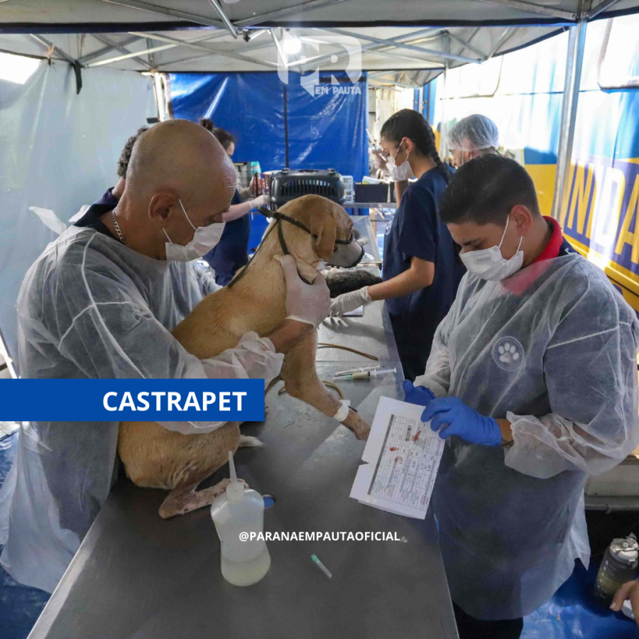 CastraPet Paraná chega a 84 novas cidades e avança para cobrir 100% do Estado