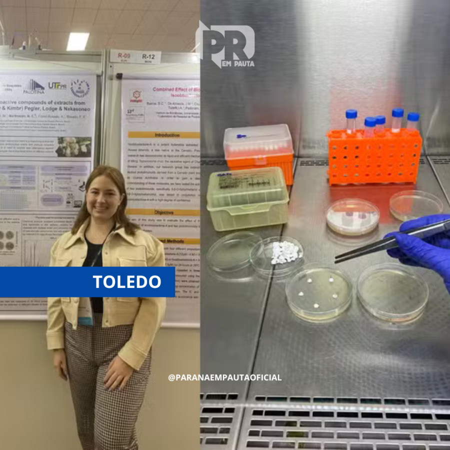 Pesquisadora paranaense desenvolve hidrogel capaz de eliminar superbactérias